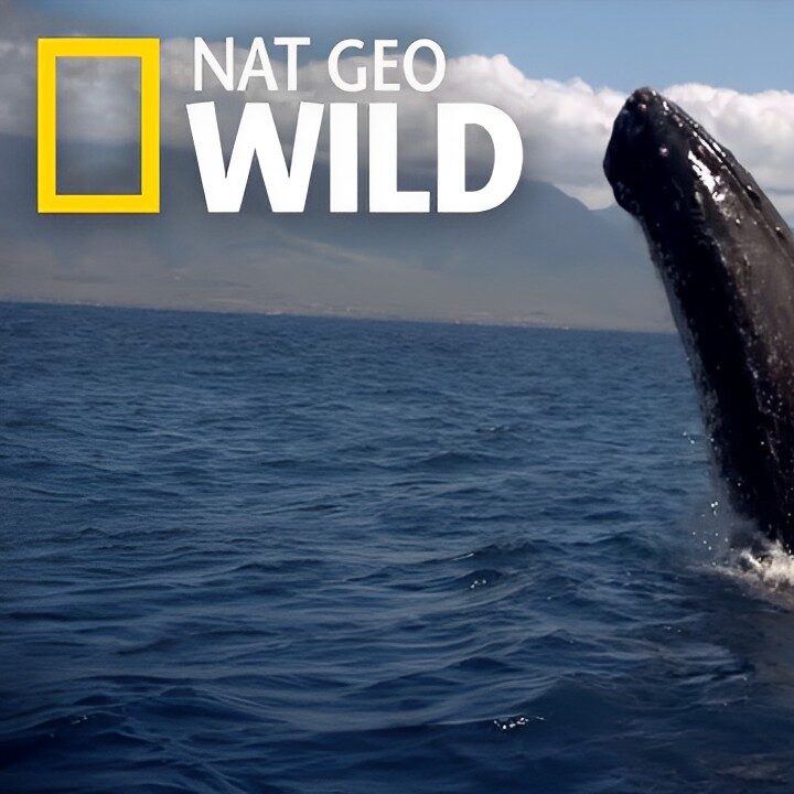 Symphony For Our World (Earth Day Special) thumbnail