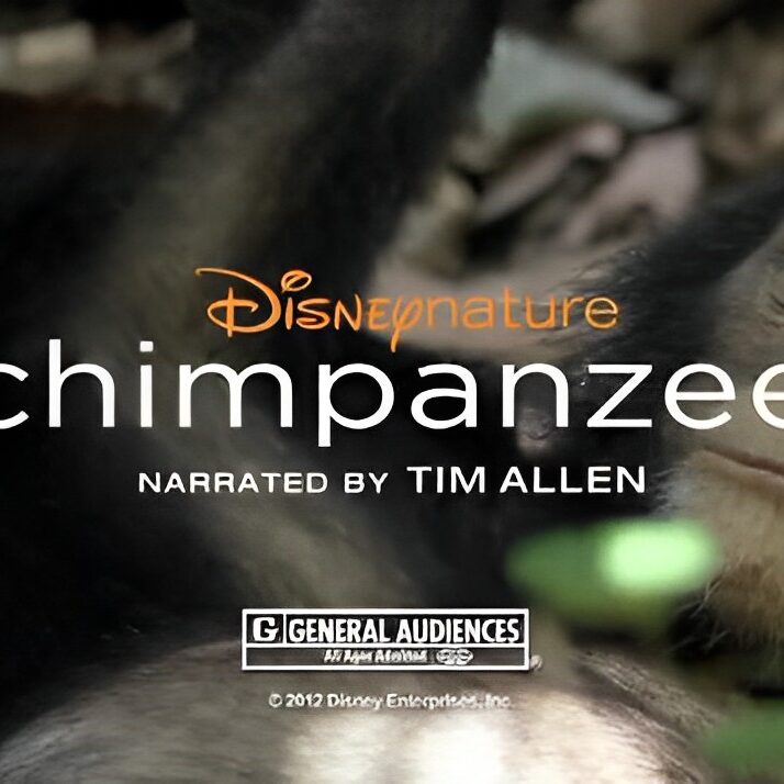 Discovery Channel: Frozen Planet and Disney's Chimpanzee thumbnail